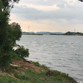 意外と海では気づかれない説の画像