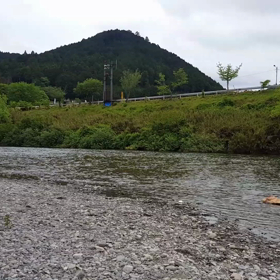 「ホ～ホケキョ♪…」の画像