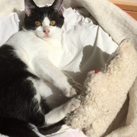 エンジン全開！♡の画像