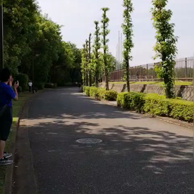 5/27 1000m⑥の画像