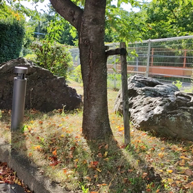 酔っぱの戯言の画像