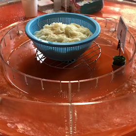 そうめん流しにいきました、鹿児島県溝辺町ちくせんきょうの画像