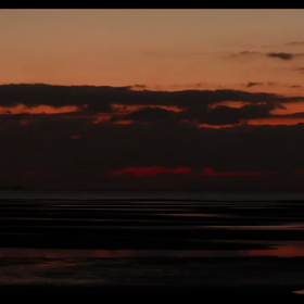 干潟の朝の画像