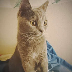 自己満足やからなの画像