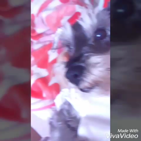 かわいい愛娘❤(*''ε`*)ﾁｭｯﾁｭちゅ之巻の画像