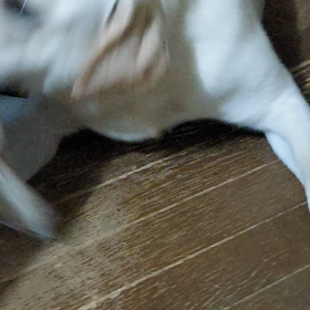 イタズラの画像