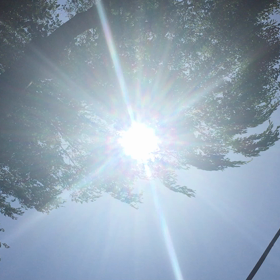 爽やかな風の画像