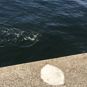 2019  人それぞれの画像