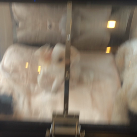 ⬛️6/21〜6/27＊酸素カプセルご利用のお友達⬛️の画像