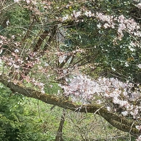 20秒程ですが最後まで観てみて下さい！の画像