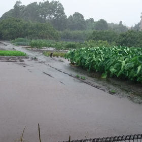 #台風9号の画像