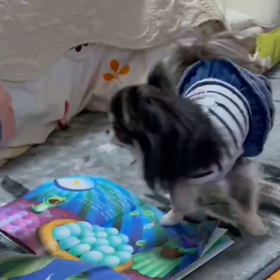 べる宿題の練習の画像