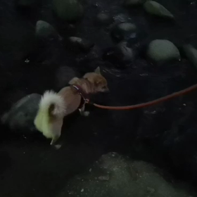 暑い日の日課の画像