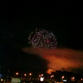 せっかくだから動画もの画像