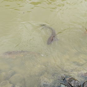 近〜い〜の画像