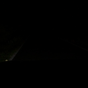 瓜坊 発見の画像