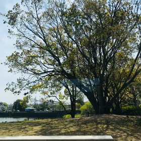 【久々のスタバにて】お昼時に、訪れたらスタバ、空いていた♡窓際のお気に入りの席で気...の画像