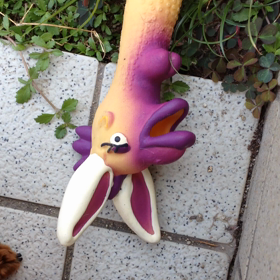 バニーバードの画像