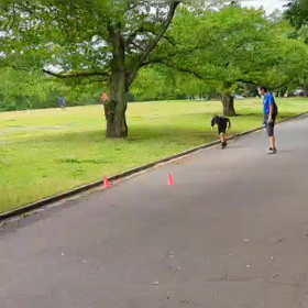 リレー練習④の画像