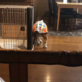 やっぱり癒されるの画像