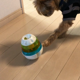 大切にしようね❕の画像