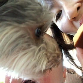 カステラ。の画像