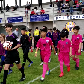 11人制 7人制 動画の画像