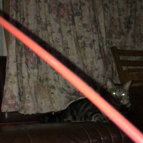 夜のビーム大会の画像