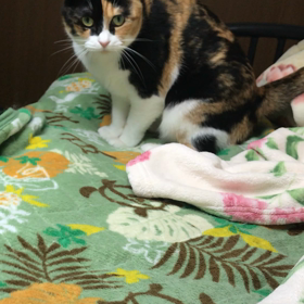 早めにベッドへの画像