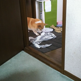 一人で遊ぶの画像