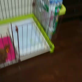 ☆むう☆の画像