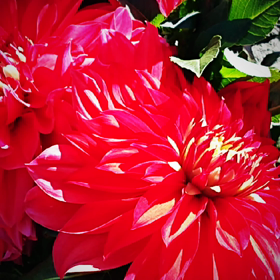 ハッピーハロウィン♪の画像