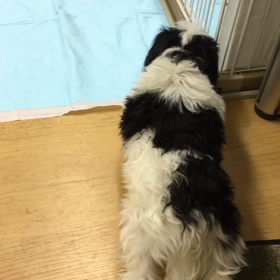 少しづつ自信がついてきてます。の画像