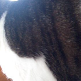 空気をよむの画像