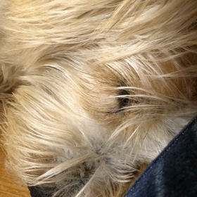 動けないの画像