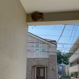 第2シーズンの画像