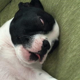 進まないの画像