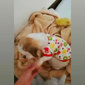 優しいおてて♪の画像