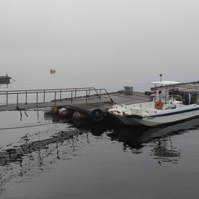 20230530桟橋は濃霧ですの画像