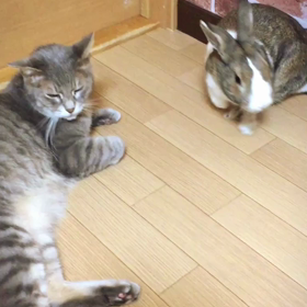 職人ちゃらびぃ♡の画像