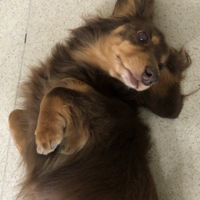 ♪プレイルーム動画♪③の画像