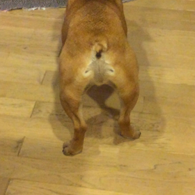 ストレスいっぱい？の画像