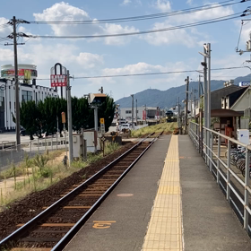 撮ってみましたの画像