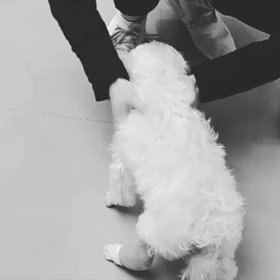 180315 あれこれの画像