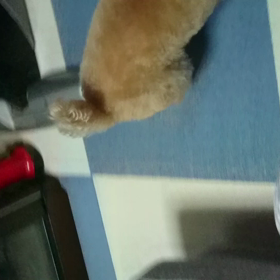 元気だねぇ☺の画像