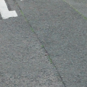 スイーピーの仲間たちの画像