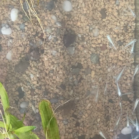 きれいに見える❣️の画像