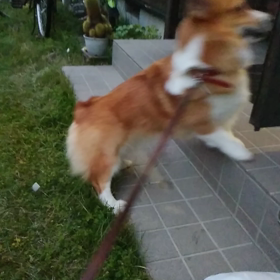 連休2日目の画像