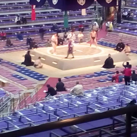 まさかの？服部桜の画像