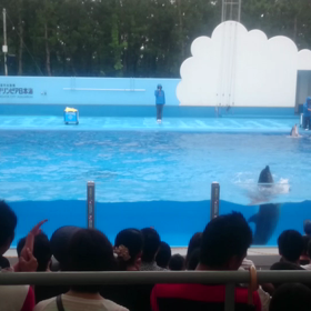 アルバムから、ふりかえってみると、の画像